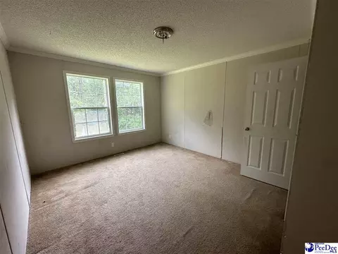 563 Jc Barefoot Rd, Patrick, SC 29584 photo 6