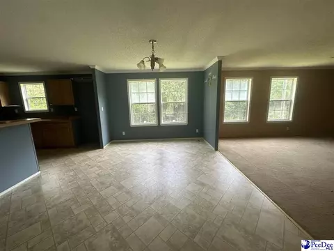 563 Jc Barefoot Rd, Patrick, SC 29584 photo 3