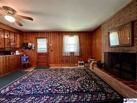 Other - 304 E Wilson St, Dillon, SC 29536 photo 10 of 14