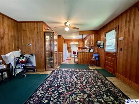 Other - 304 E Wilson St, Dillon, SC 29536 photo 9 of 14