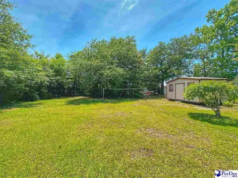 Exterior - 304 E Wilson St, Dillon, SC 29536 photo 5 of 9
