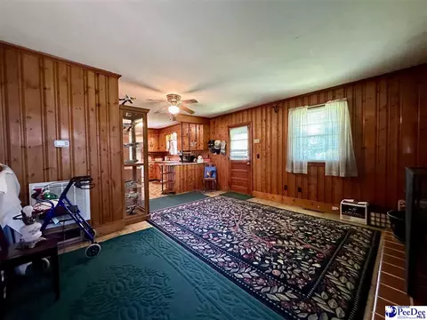 Other - 304 E Wilson St, Dillon, SC 29536 photo 11 of 14