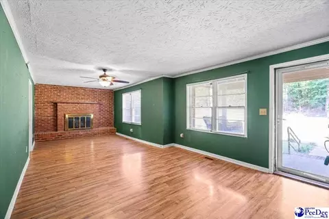 3032 Irby Rd, Wallace, SC 29596 photo 6