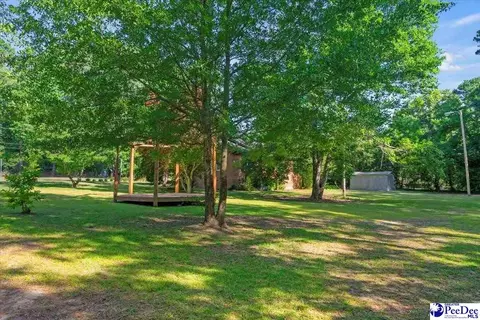 3032 Irby Rd, Wallace, SC 29596 photo 34