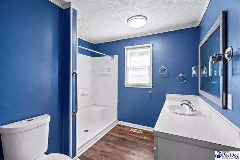 3032 Irby Rd, Wallace, SC 29596 photo 24