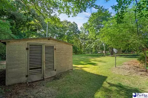 3032 Irby Rd, Wallace, SC 29596 photo 38