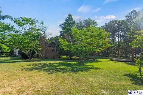 3032 Irby Rd, Wallace, SC 29596 photo 33