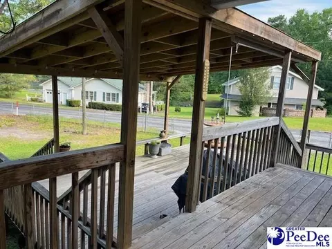 75 Ski Cove Ln, Hartsville, SC 29550 photo 21
