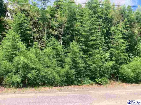 105 Elm Ct, Dillon, SC 29536 photo 1