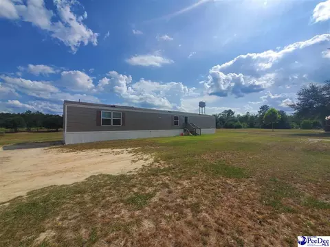 416 Hawkins, Patrick, SC 29584 photo 1