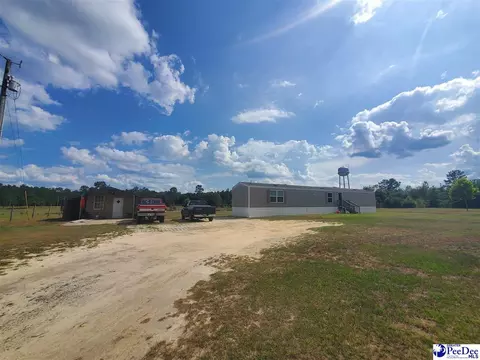 416 Hawkins, Patrick, SC 29584 photo 4