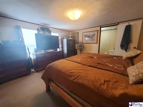 416 Hawkins, Patrick, SC 29584 photo 9