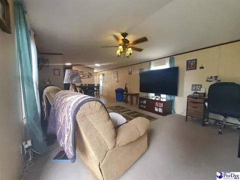 416 Hawkins, Patrick, SC 29584 photo 6