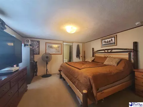 416 Hawkins, Patrick, SC 29584 photo 8