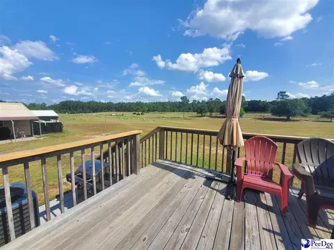 416 Hawkins, Patrick, SC 29584 photo 18