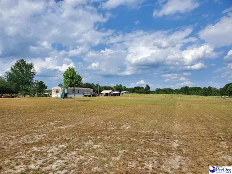 416 Hawkins, Patrick, SC 29584 photo 29