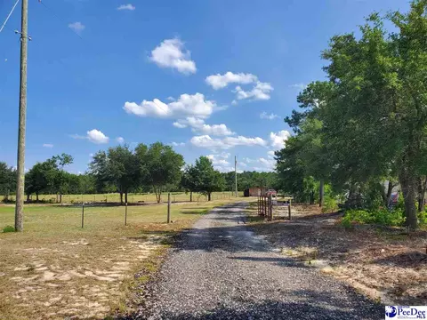416 Hawkins, Patrick, SC 29584 photo 3