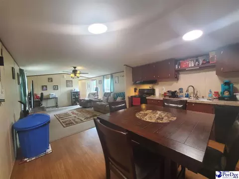 416 Hawkins, Patrick, SC 29584 photo 7