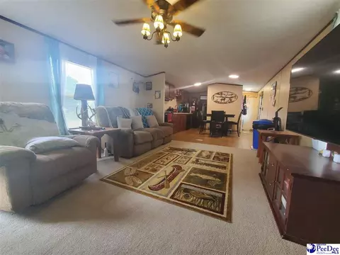 416 Hawkins, Patrick, SC 29584 photo 5