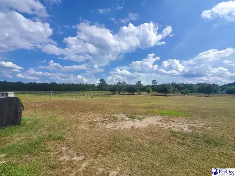 416 Hawkins, Patrick, SC 29584 photo 25