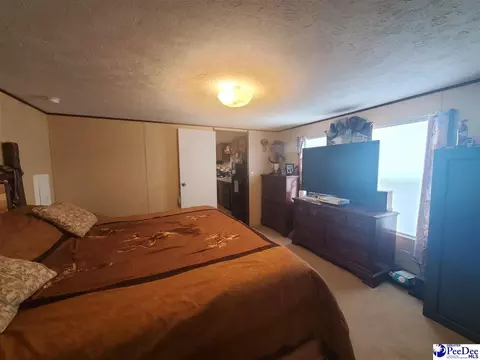 416 Hawkins, Patrick, SC 29584 photo 10