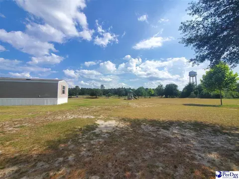 416 Hawkins, Patrick, SC 29584 photo 27