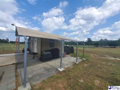 416 Hawkins, Patrick, SC 29584 photo 22