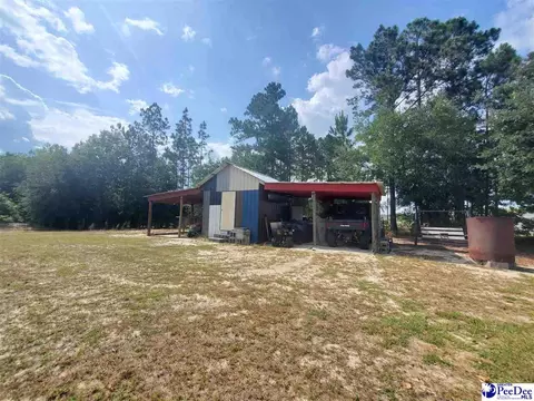416 Hawkins, Patrick, SC 29584 photo 28