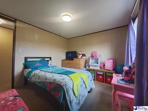 416 Hawkins, Patrick, SC 29584 photo 14