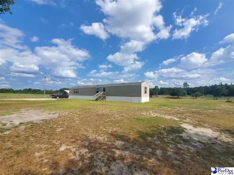 416 Hawkins, Patrick, SC 29584 photo 2