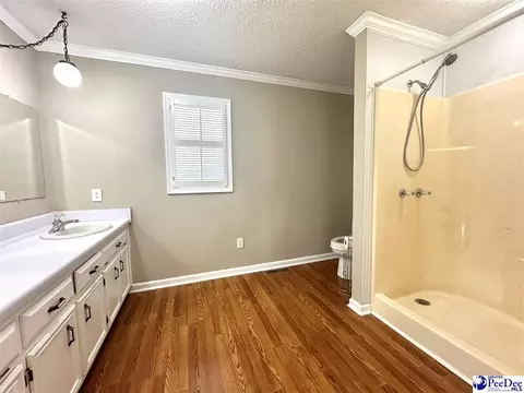 9478 Hartsville Ruby Rd, Ruby, SC 29741 photo 37