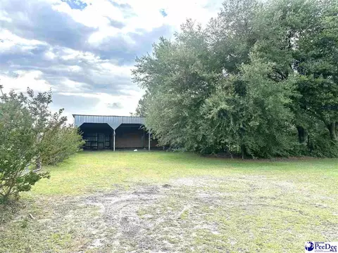 9478 Hartsville Ruby Rd, Ruby, SC 29741 photo 17