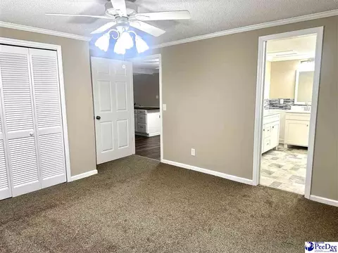 9478 Hartsville Ruby Rd, Ruby, SC 29741 photo 25