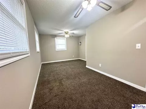 9478 Hartsville Ruby Rd, Ruby, SC 29741 photo 32