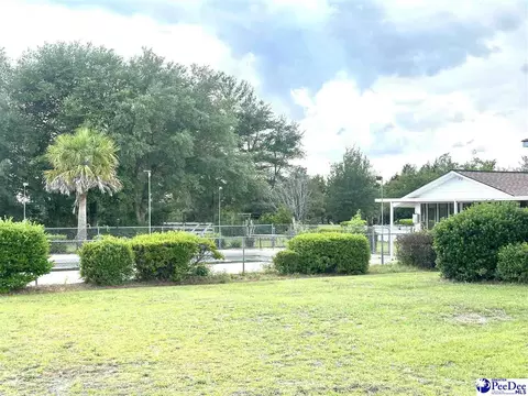 9478 Hartsville Ruby Rd, Ruby, SC 29741 photo 16
