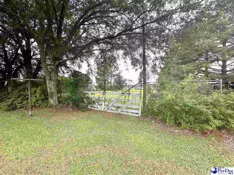 9478 Hartsville Ruby Rd, Ruby, SC 29741 photo 19