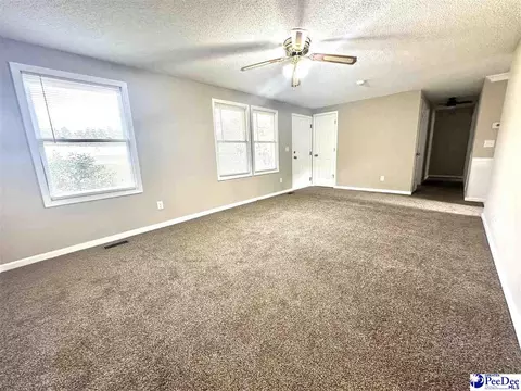 9478 Hartsville Ruby Rd, Ruby, SC 29741 photo 28