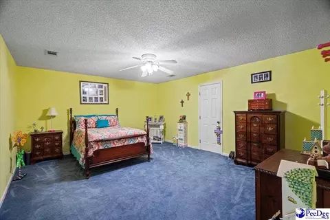 303 Highway 145 N, Chesterfield, SC 29709 photo 31