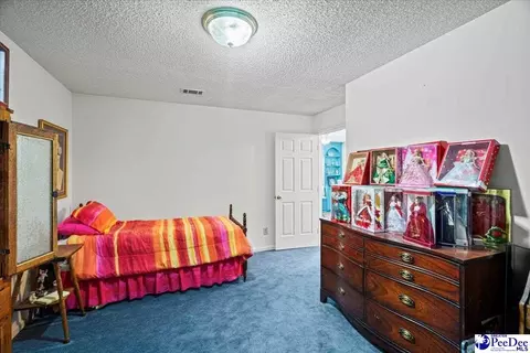 303 Highway 145 N, Chesterfield, SC 29709 photo 29