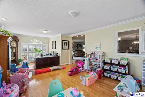 303 Highway 145 N, Chesterfield, SC 29709 photo 39