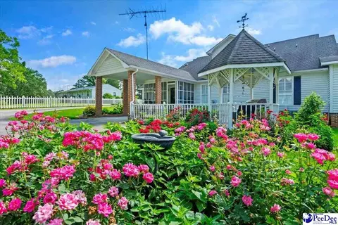 303 Highway 145 N, Chesterfield, SC 29709 photo 23