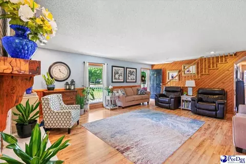 303 Highway 145 N, Chesterfield, SC 29709 photo 62