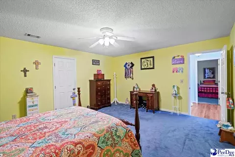 303 Highway 145 N, Chesterfield, SC 29709 photo 32