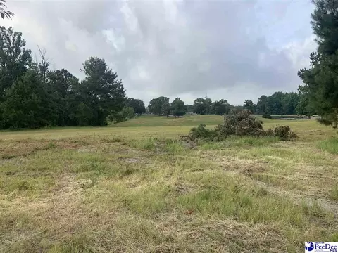 2431 Tomahawk Rd, Lamar, SC 29069 photo 9