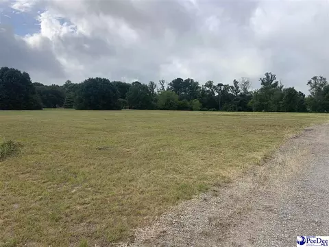 2431 Tomahawk Rd, Lamar, SC 29069 photo 7