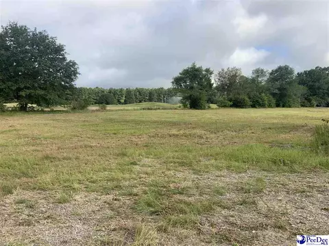 2431 Tomahawk Rd, Lamar, SC 29069 photo 11