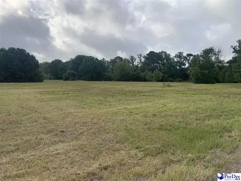 2431 Tomahawk Rd, Lamar, SC 29069 photo 12