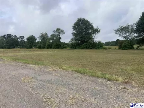 2431 Tomahawk Rd, Lamar, SC 29069 photo 6
