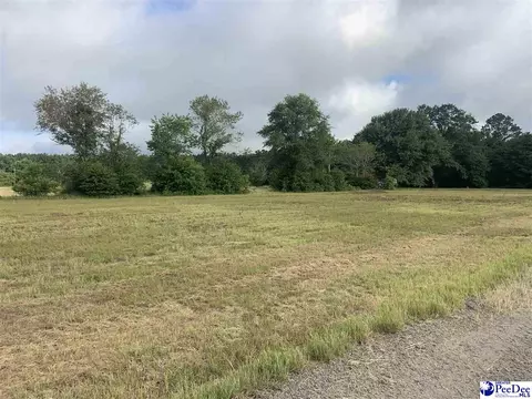 2431 Tomahawk Rd, Lamar, SC 29069 photo 8