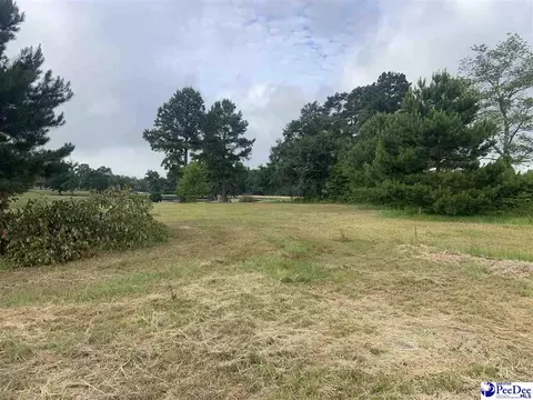 2431 Tomahawk Rd, Lamar, SC 29069 photo 10